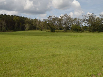 Seminole land for sale