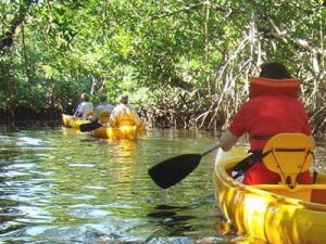 Seminole Real Estate kayak park