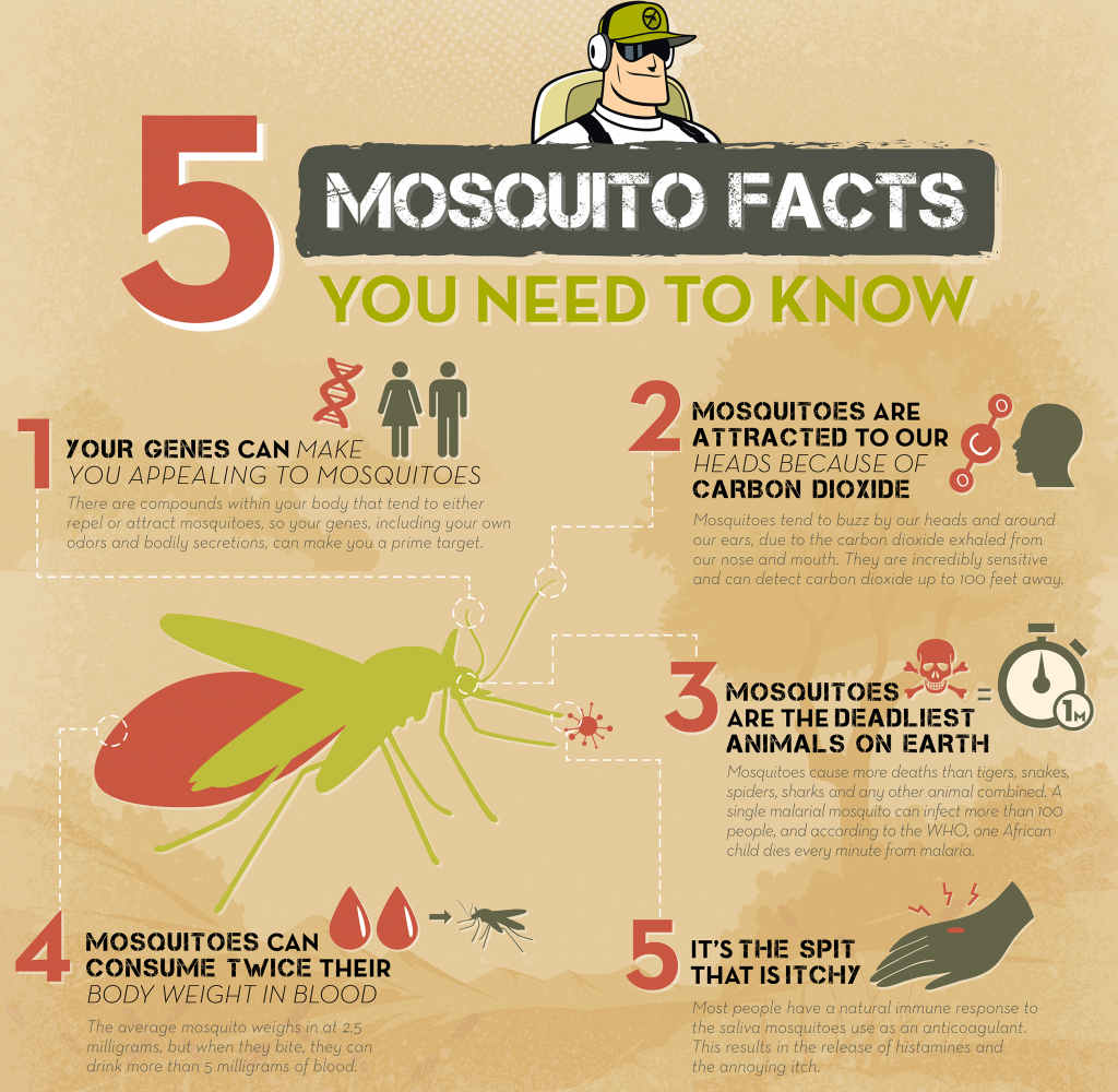 Easy Steps to Keep Mosquitos Away David Christ, Realtor®